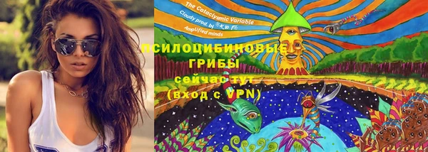 mdpv Арсеньев