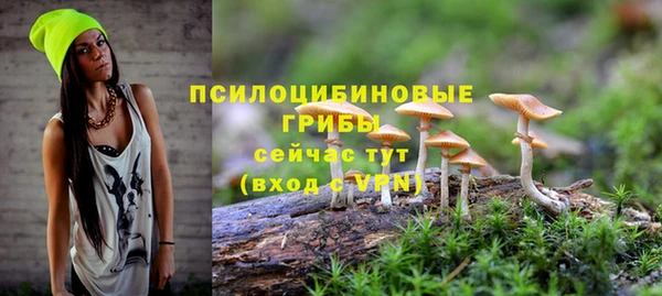 mdpv Арсеньев