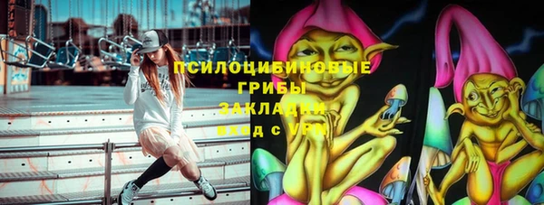 индика Армянск