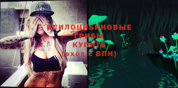 индика Армянск