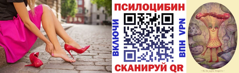 закладка  Усть-Илимск  Псилоцибиновые грибы ЛСД 